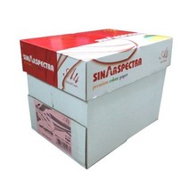 스펙트라 색지 A4 80g 복사용지 1BOX 2500매 색지_[230323EA], A4 노랑