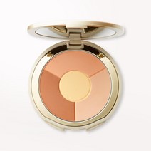 스틸라 원스텝 코렉트 파우더 미디움 8.68g