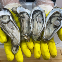 여수 석화 제철 5kg 7Kg 10kg 20Kg 각굴 하프셀, 여수 석화 7Kg