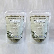 국산 자연산 신이화 2팩 야생 목련꽃봉오리, 150g