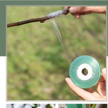 GARDEN 접목비닐 접목 테이프 원예용 식물 3cm x 100m, 단품