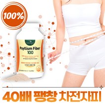 식약처 기능성 인증 차전자피 식이섬유 분말 영양제 차전차피 가루 보조제 차전자 씨앗 변비움 활동 직빵 수용성 섬유소 섬유질 psyllium 장 장청소 장운동 임산부 부모님 노인, 1개, 300g