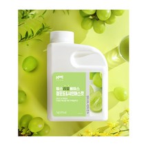 흥국 맘스리얼베이스 청포도앤샤인머스켓 1kg 1개, 청포도1kg, 청포도앤샤인머스켓1kg
