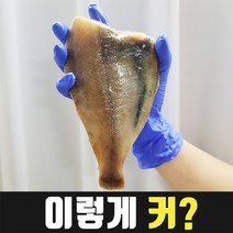 [아주 크고 맛있는] 국산 참가자미 3팩(6마리), 2. 대_300g 3팩(6마리)