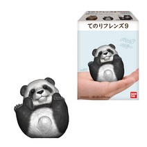 테노리 프렌즈 9 12 개 BOX (식완)