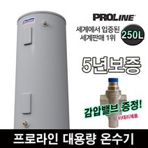 프로라인 저장식 전기온수기 100~450L 대용량 업소용 카페수영장헬스장, 250L(감압밸브포함)