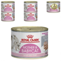 라이브잇 로얄캐닌 마더 앤 베이비캣 캔 습식사료, 54개, 195g