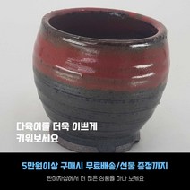 다육 다육화분 원형 투톤화분 4개세트, 빨강색