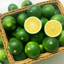 제주 청귤 풋귤 3kg 청귤청 수제청 재료 산지직송