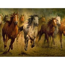 초원의 백마 흑마 군마 큐빅 구슬십자수 승진 성공운 5D 풀 스퀘어 팔마도 칠마도 말 그림 DIY, Square Drill 80x60cm, 4176