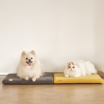 펫레스트 메모리폼 쿠션 2종, 머스타드 소형 VLMA00103
