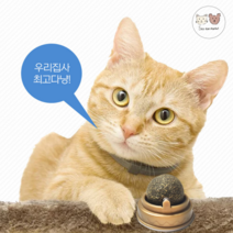[네이처펫]냥냥이 롤링 캣닢사탕, 2개