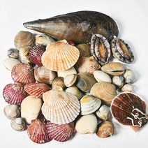 프리미엄 모듬조개세트2kg 캠핑조개 조개구이 2인분, 상세페이지 참조