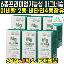 식약청 인정 산화 마그네슘 마그슘 마그네시움 마그네슝 제제 신경 운동 근육 영양제 비타민 B1 B6 B12 캡슐 남성 여성 식약처 인증, 60정 X 6박스 + 알약케이스