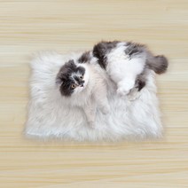 고양이 애착 방석 양모 쿠션 에코퍼 러그