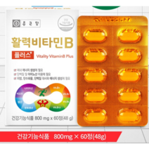 졸업 선물로 좋은 종근당 활력 비타민B 플러스 고함량 영양제 60정 (60일분)*2박스