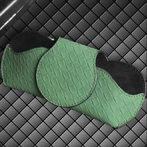 나이스나 차량용 썬바이저 클립형 선글라스 케이스 안경 보관함, 그린