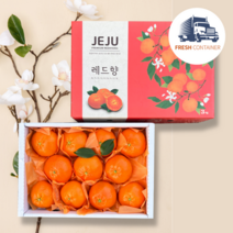 프리미엄 제주 레드향 레드향선물세트 제주도 레드향, 선물용 3kg (12과수내외 / 대과)