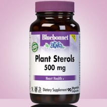 블루보넷 식물성 스테롤 500mg 9O정 3개월분 비건x1EA