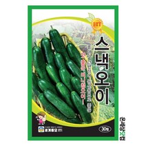 청스낵오이 30립 / 오이씨앗 오이씨 미니오이 씨앗 베란다텃밭