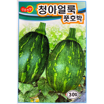 청아얼룩풋호박씨앗 30립