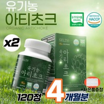 프리미엄 아티초크 유기농 100% 프랑스산 아티초크정 아티초크추출물 아티쵸크 아티초코 아티소 알티초크 artichoke 추출 분말 가루 알약타입 식약처 인증 인정 (영양제 통증정), 120정, 600mg, 2개