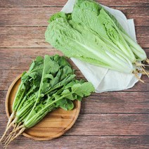 경기도 포천 싱싱한 열무 2kg + 얼갈이 2kg 얼갈이배추 열무김치, 단품