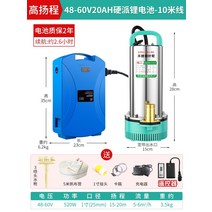 농업용양수기 지하수모터 엔진 소방 주유 미니 펌프 잠수정 가정용 전기 배터리 자동차, 2배 초고도 리프트-48-60v10m 라인 20a
