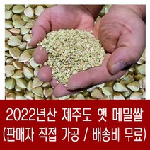 제주통메밀쌀 종류 및 가격