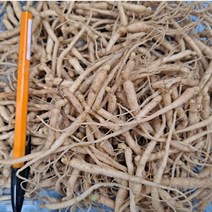 1년근 묘삼 파지 1차(750g) 800-900종1채 새싹쌈 새싹용 모종 인삼모종 수경재배 토경재배 인삼키우기
