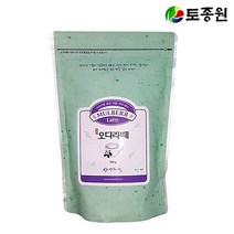 토종원 오디라떼 500g 지리산수제