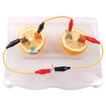 사이언스피아 과일전지 전용받침대(발광다이오드세트)(1인세트)