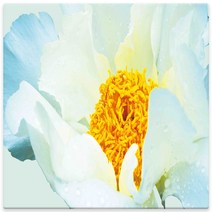 모란꽃 33종 돈들어오는 그림 한국화 캔버스액자 인테리어액자 거실액자 침실액자, 모란꽃26