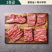 정직한우실장 1등급 한우 모듬세트 골라담기, 600g, 모듬A (꽃등심+특수부위+차돌박이)