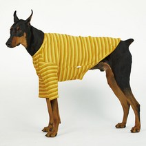 럭키페터 더블 스트라이프 강아지 옷 소형견 대형견 티셔츠, 옐로우