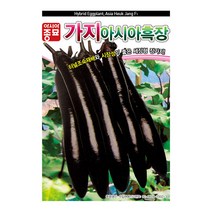 가지 씨앗 흑장가지 200립 장 가지 종자 씨 아시아종묘