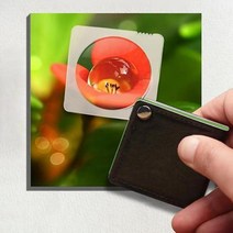 정성 휴대편한 주머니속에 들고 다니는 10배율 사각 노안 확대경 책읽기 신문보기 삶이 질 향상 부모님 효도선물, ▣▒1.본품(OC1093)◈▩