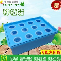 가정용 식물재배기 수경재배기 식물 재배기 실내화분 무토재배 수조기 설비 수경채소 베란다식물 재배, 그린 솔라 산소증식용수배관, 중간 정도