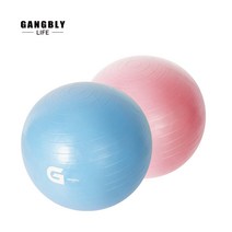 강블리 G시리즈 짐볼 55cm 65cm 요가/스트레칭/필라테스 (팬톤컬러), 블루