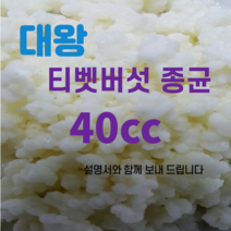 은수네 티벳버섯, 40cc, 1개입