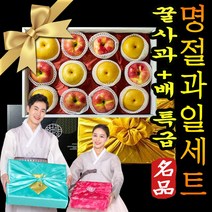 명절 추석 설 선물세트 사과배 대과 문경 충주 햇사과 황금배 나주배 혼합과일 선물세트 5kg 7kg 백화점 홈플 이마트 추석 설날선물 명품 고급 보자기 포장, 2.사과배6+6 선물세트2호(고급형)7kg