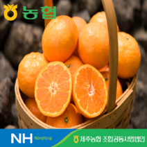 eTV 2023 귤로장생 제주 카라향 2kg*1박스, 1