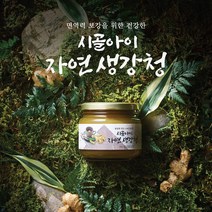 수제생강청 시골아이 자연 국산생강청 500g 건강차 목건강 결혼식답례품 명절 추석선물세트, 수제생강청 500g, 1개