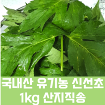 싱싱한 국내산 신선초 1kg 샐러드 셀러리 셀러드 녹즙용 녹즙 신선초 비트 유기농 케일 신선초 샐러리 비트 밀싹 보리순 당근 민들레 녹즙재료, 1개
