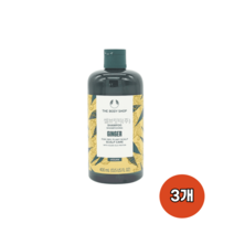 더바디샵 진저 스캘프 케어 샴푸 400ml 3개