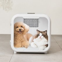 강아지 드라이 고양이 털말리기 건조기 가정용 애견, (앱+카메라)
