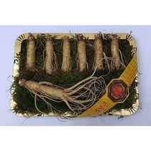 (선물세트)풍기인삼 실속형 수삼 설선물세트 설명절 선물용 인삼, 1세트, 삼쟁이 실속형 금장채반