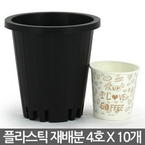 플라스틱 화분 양란 재배분 4호(10개) - 플분 양란 녹차 난화분 란화분 난재배분 양란화분 난재배 녹차재배분 긴화분, 01_청운_재배분(4호) X 10개