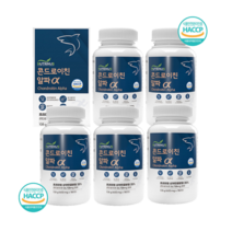 콘드로이친 알파 관절엔 상어연골 600mg 180정 5통