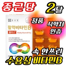 종근당 수용성 활력 비타민 비 B 영양제 속 안쓰린 편한 식약처 인증 판토텐산 비오틴 엽산 나이아신 플러스 프리미엄 고농축 vitamin 식약청 인정 청소년 온가족 직장인 맥스, 60정x1박스 2개월